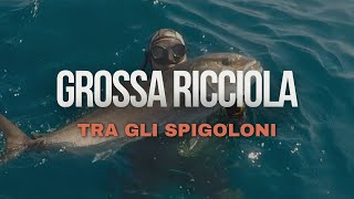 GROSSA RICCIOLA IN MEZZO ALLE SPIGOLE GIGANTI PESCASUB [upl. by Karsten]