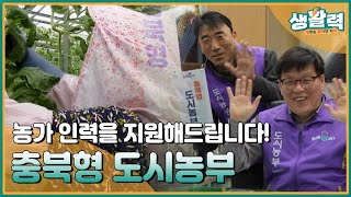 농촌의 인력이 어려운 현실이지만 걱정마세요ㅣMBC충북ㅣ240215 [upl. by Bigford]