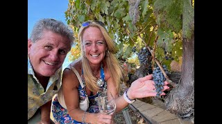 Wine Tasting in Temecula Valley CA [upl. by Gorden]