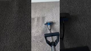 Professional carpet cleaning before and after [upl. by Lowery]