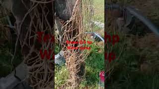 Texmo water 💦 pump 05 half hp technical chasi YouTube channel subscribe vizagfishingharbour [upl. by Negriv]