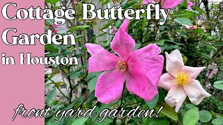 March 122024 cottage Butterfly Garden front yard tour in Houston TX zone 9ab [upl. by Isacco]