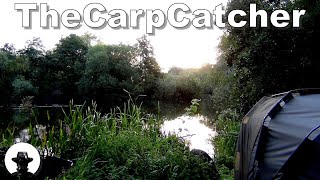 Linford Lakes  Alder Part three  Carp Fishing [upl. by Bore]