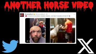 ANOTHER Twitter Horse Video [upl. by Ciredec]