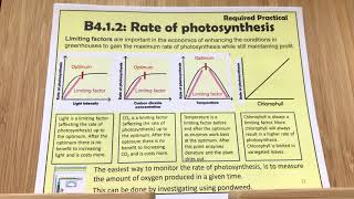 B4 Rate of Photosynthesis REQUIRED PRACTICAL [upl. by Nerfe]