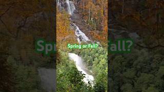 SPRING vs FALL  Vote in Comments naturelovers [upl. by Holleran]