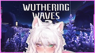 Exploring the Black Shores Map  Side Quests  Version 13 To the Shores End 【Wuthering Waves】 [upl. by Linc523]