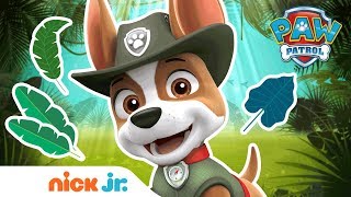 Extended Trailer FtTracker 🐾 NEW Full Episode on  PAW Patrol  Nick Jr [upl. by Karas]