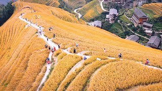 Longji Rice Terraces  Guilin [upl. by Wein]