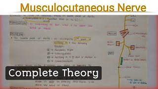 Musculocutaneous Nerve [upl. by Airual]