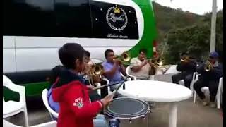 Corrido De Santa María Yavesía Banda Pura Santa María [upl. by Edmunda]