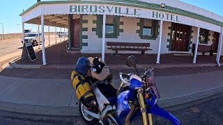 2024Simpson115  The End  Back to Birdsville [upl. by Odrude86]