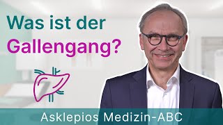 Was ist der Gallengang  Medizin ABC  Asklepios [upl. by Itagaki]