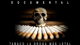 Documental sobre el tabaco [upl. by Melita]