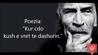 Daje Ramizi Karaeski  Poezi nga quotEzelquot Official Video [upl. by Song]