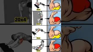 Body Workout free 💪 💪 💪 fitness gym bodybuilding video trending Anujfitness50 short video [upl. by Aleras755]