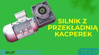 Silnik z przekładnią Kacperek wwwsklepfalownikipl [upl. by Satsok]