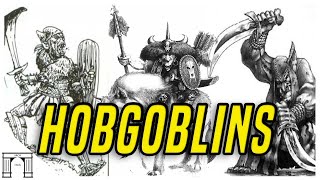 Warhammer Fantasy Battle Lore The Hobgoblins Slaves Mercenaries And An Empire [upl. by Silsby481]