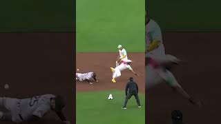 MLB  Funny Moments in Baseball baseball MLB Beisbol [upl. by Misti]