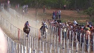 Corrida de Cavalos em Sumé DISPUTA ACIRRADA [upl. by Kciredohr]