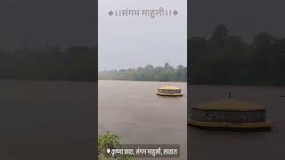 साताऱ्यातील पाऊस जोरदार पाऊस shorts rain satara trending पाऊसviral cat bhushidamlonavala [upl. by Yesor729]