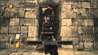 Dark Souls 2 Get to Brume Tower Fourth Bonfire [upl. by Atinnor]