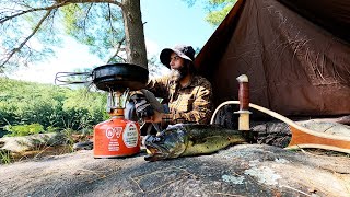 Solo Camping and Surviving 24 Hours by Living Off the Land  No Food amp No Water [upl. by Eilegna]