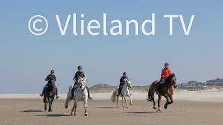 Paardrijden op strand Vlieland [upl. by Given]