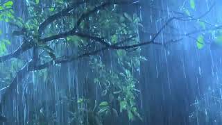 Sleep Hypnosis Within 3 Minutes to Fall Asleep Fast with Heavy Rain amp Thunder in Rainforest at Night [upl. by Feetal]