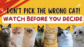 The Ultimate Cat Breed Guide Find Your Perfect Feline Friend [upl. by Pfeffer771]