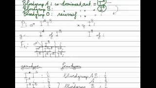 Erfelijkheid  Monohybride kruising codominant [upl. by Wilterdink]