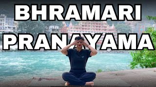 Relaxing breath  Bhramari pranayama  Bumble bee breath to relax the body yoga yogapractise [upl. by Hasile833]