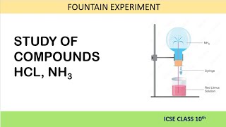 Fountain Experiment Explained Ammonia amp HCl Gas Solubility in Water  ICSE Class 10 Chemistry [upl. by Odel]