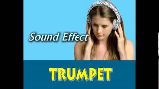 trumpet sound effect [upl. by Eldrid]