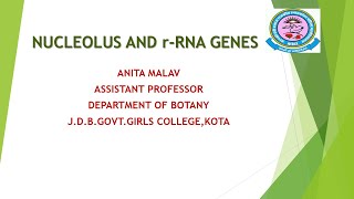 Anita Malav Boatny MScSemIII Paper12 NUCLEOLUS AND r RNA GENES [upl. by Corbett305]