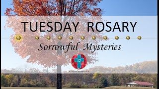 Tuesday Rosary • Sorrowful Mysteries of the Rosary 💜 November 5 2024 VIRTUAL ROSARY  MEDITATION [upl. by Annaehs248]