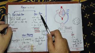 physiology guyton chapter 49Pain physiologypain classification and causes sensory physiology [upl. by Alysa]