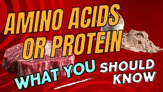 Amino Acids vs PROTEIN [upl. by Stanislaus]