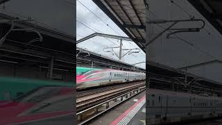 🌎 Shinkansen at Speed  Japan [upl. by Ginnie753]