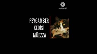 PEYGAMBER EFENDİMİZİN KEDİSİNİN ADI NEYDİ SEVİMLİ KEDİLER catvideos kedivideoları cat kediler [upl. by Donough608]