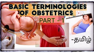 Basic terminologies of Obstetrics Part1 தமிழ் Tamil [upl. by Einaffyt972]