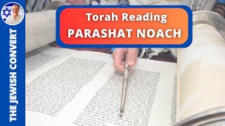 PARASHAT NOACH  Weekly Torah Reading in Hebrew amp English Translation  TORAH STUDY [upl. by Aynwad]