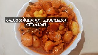 തനി നാടൻ ചാബക്ക അചാ൪ ഇട്ടത്Kerala Style Rose Apple Picklechambakka achar [upl. by Bowers]