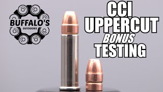 CCI UPPERCUT 22lr Self Defense JHP  BONUS TESTING [upl. by Lebasi]