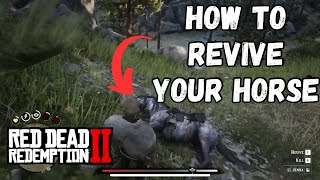 How to Revive Your Horse in Red Dead Redemption 2 EASY [upl. by Guido]