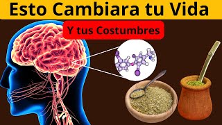 La Bebida Milagrosa Los 7 Beneficios Inesperados de la Yerba Mate [upl. by Abert]