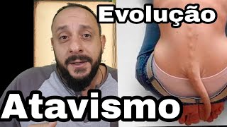 Atávico Evolução e atavismo [upl. by Arbua704]