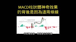 MACD柱狀體神奇效果背後竟然是因為這兩條線 [upl. by Hsima]