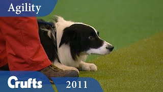 Agility  Championship Final 2011  Crufts Dog Show [upl. by Ruffina656]