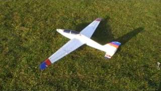 RC Windrider Fox Lowflying too low [upl. by Rolyks750]